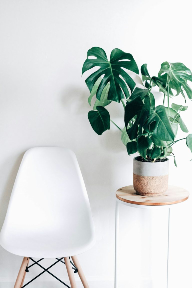 DIY Indoor Greenhouse Cabinet Masterclass