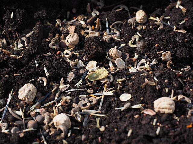 The Ultimate Chunky Aroid Soil Mix Recipe (Never Get Root Rot Again)