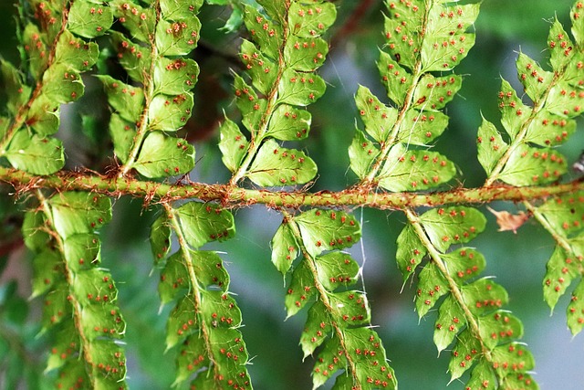 The Ultimate Water Propagation Guide: 5 Rules for 100% Rooting Success