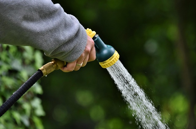 5 Genius Plant Hacks Every Indoor Gardener Needs to Try Today