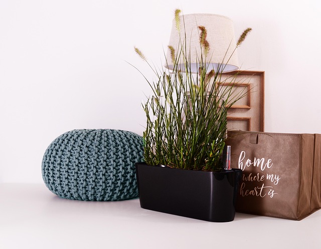 7 Low-Light Houseplants That Thrive in Dark Rooms & Low Light